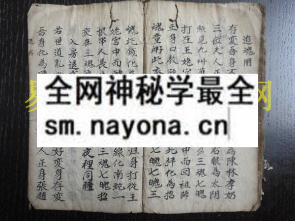 1742900782637594.jpg 法诀香火 (原书)