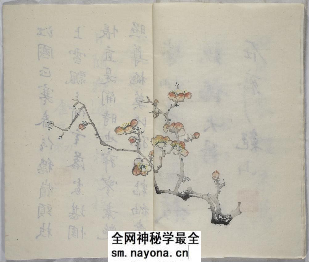 十竹斋书画谱.16册.明胡正言辑.清嘉庆22年芥子园重刊胡氏彩色套印本.1817年 - 第18页预览图