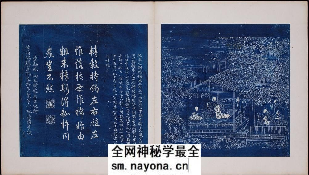 御题棉花图.方观承画.乾隆题诗.蓝拓本.1765年 - 第12页预览图