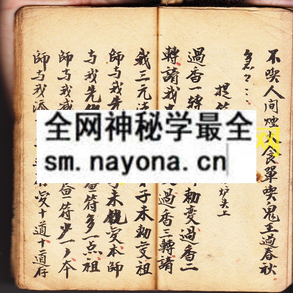 1742454531125860.jpg 打符治邪 (原书)