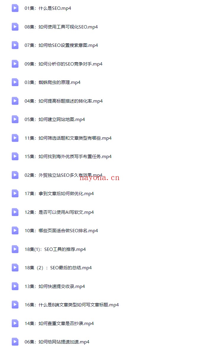新版黑方谷歌SEO实战教程，全网内部VIP解码，价值9800【Aa-0075】