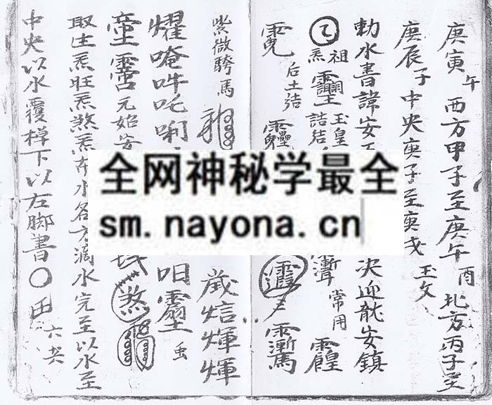 金鳞全簿 (电子版）
