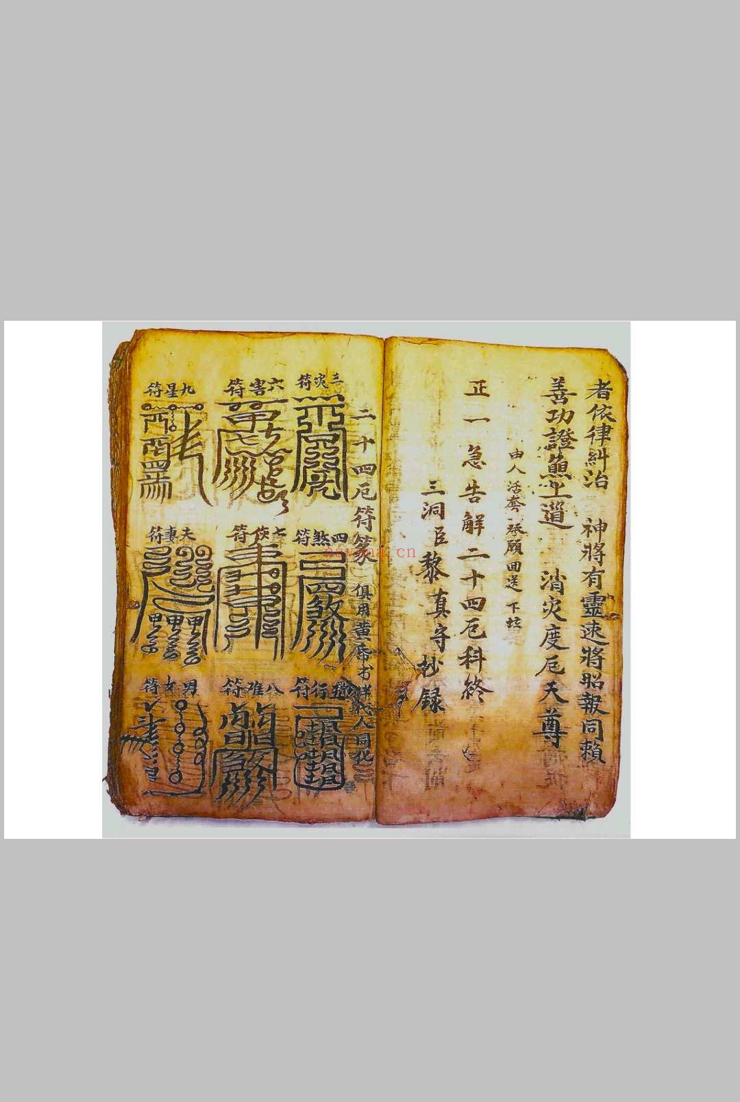 正一驱治攘灾解释金科