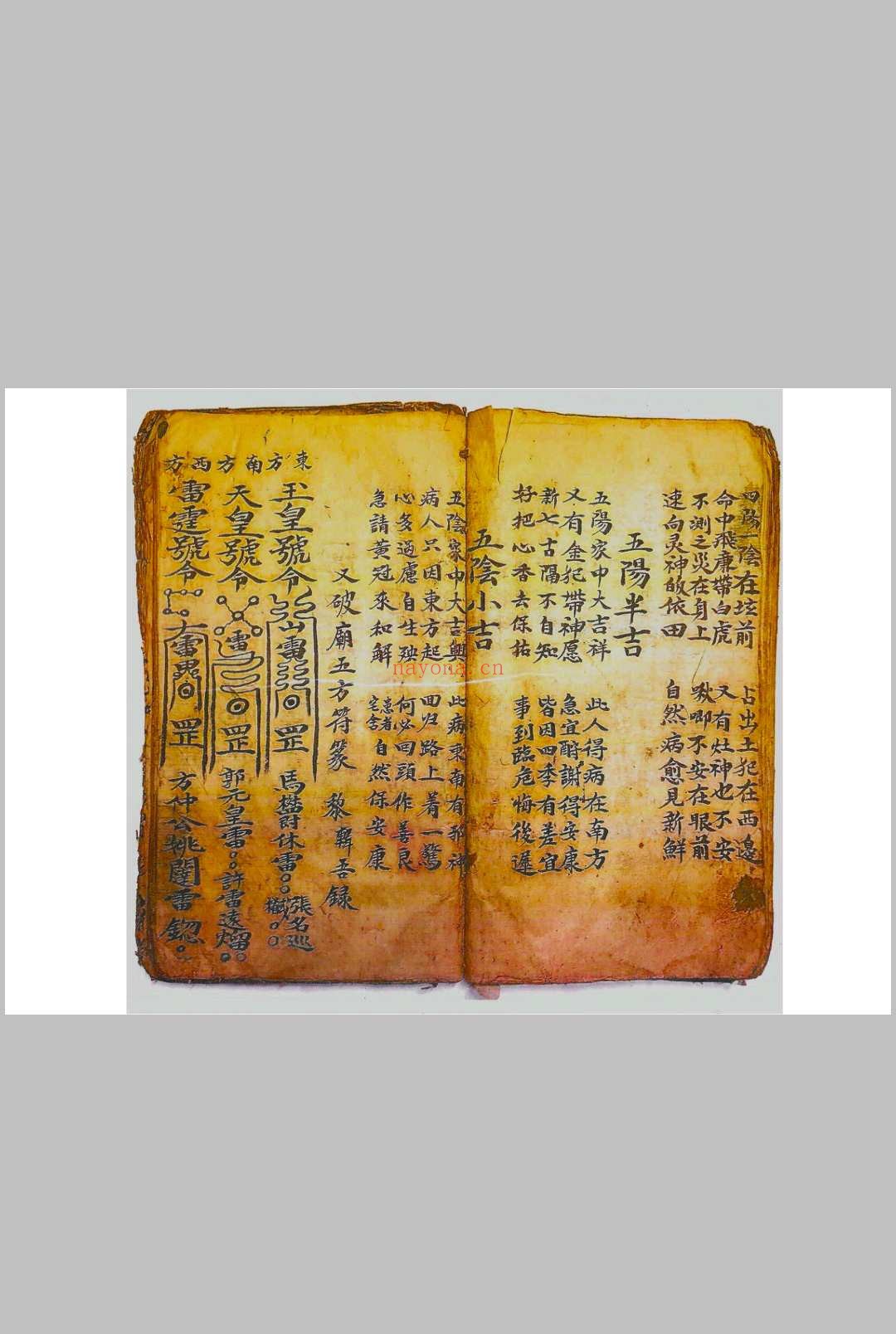 正一驱治攘灾解释金科