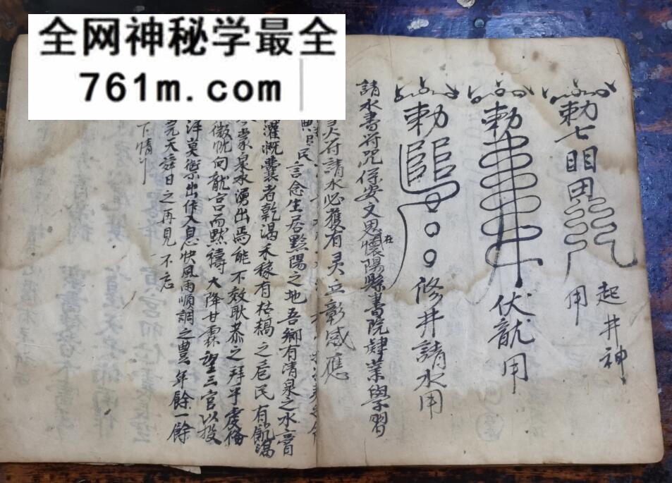 《龙王朝科》