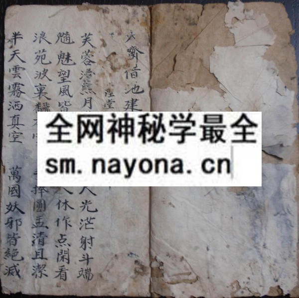 大斋借地建坛科 （电子版）