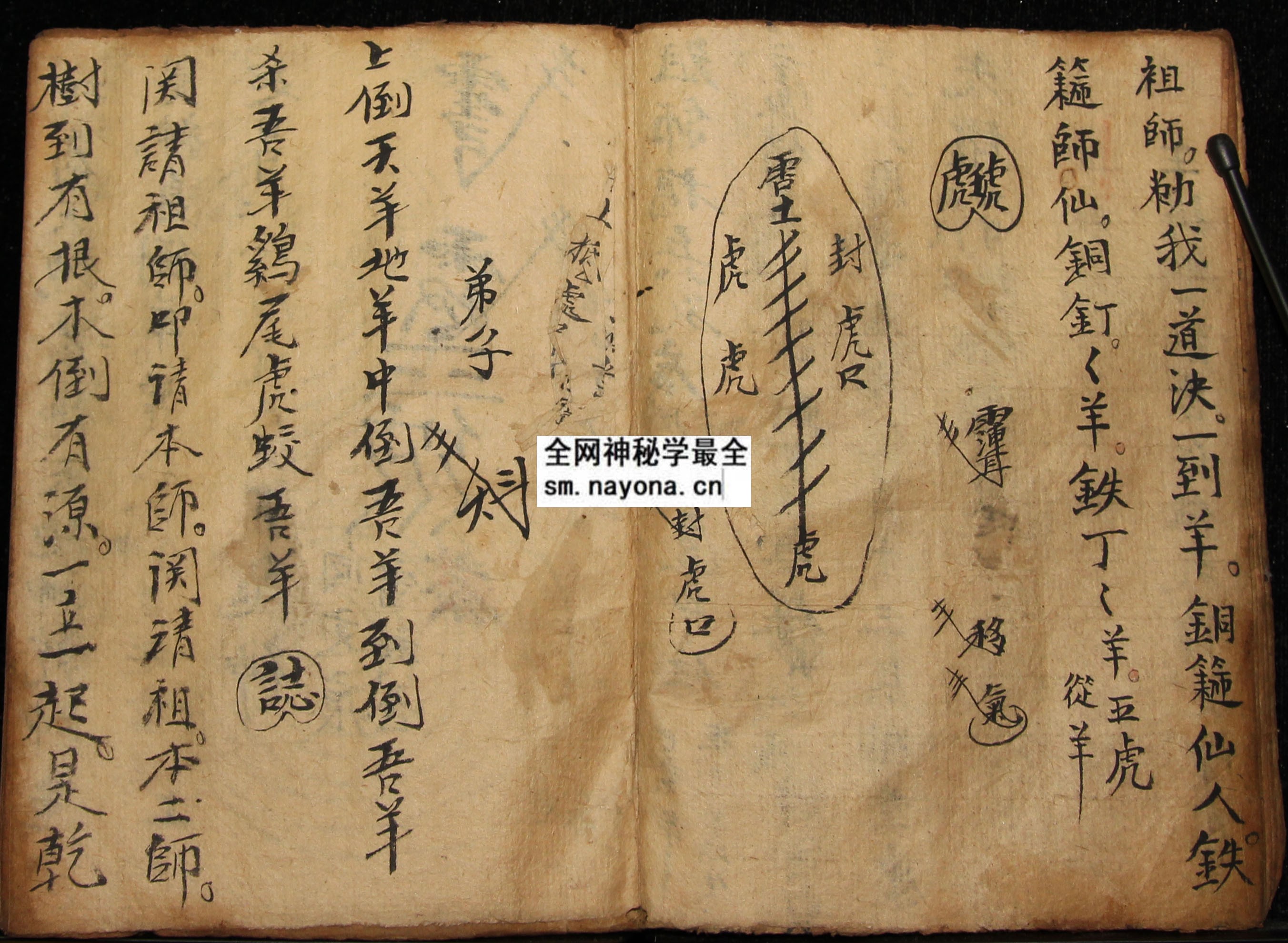 1747987897930984.jpg 化身符科 (电子版)