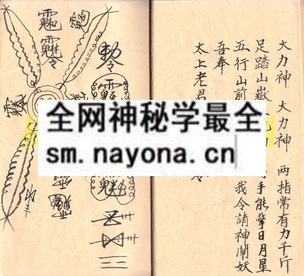 関符科  （电子版）