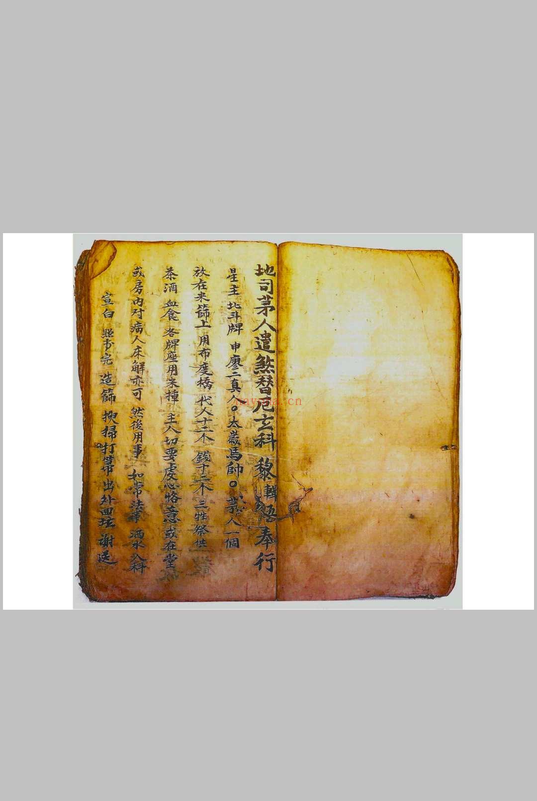 正一驱治攘灾解释金科