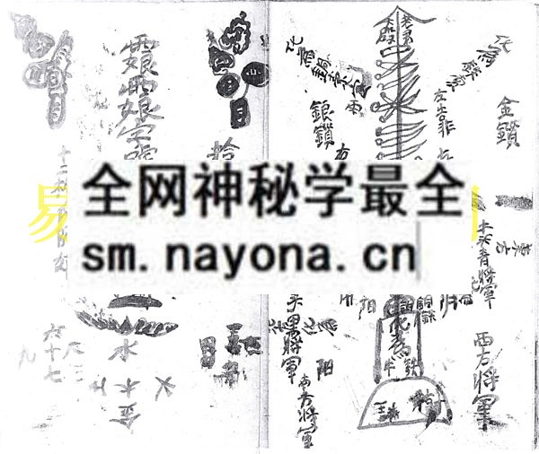 1742975052608826.jpg 符书(田祥清)(电子版)