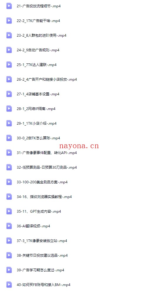 跨境电商小白必看！独立站建站+运营实战教程，助你快速入门并精通【Aa-0065】
