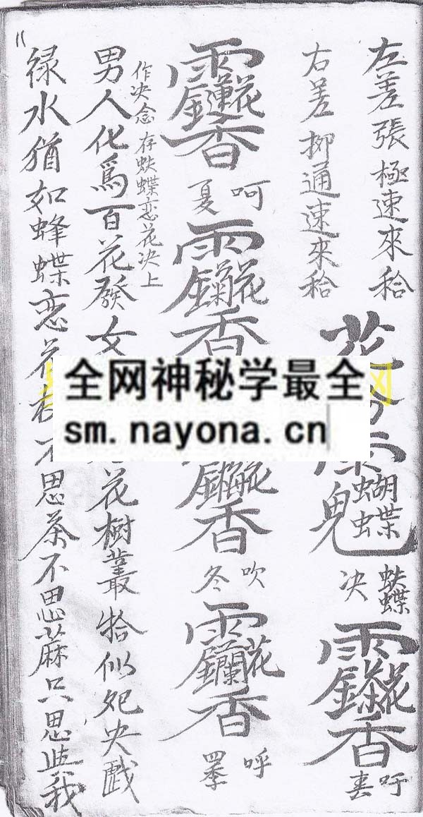 1747823123826488.jpg 和合旺店一宗 (电子版)