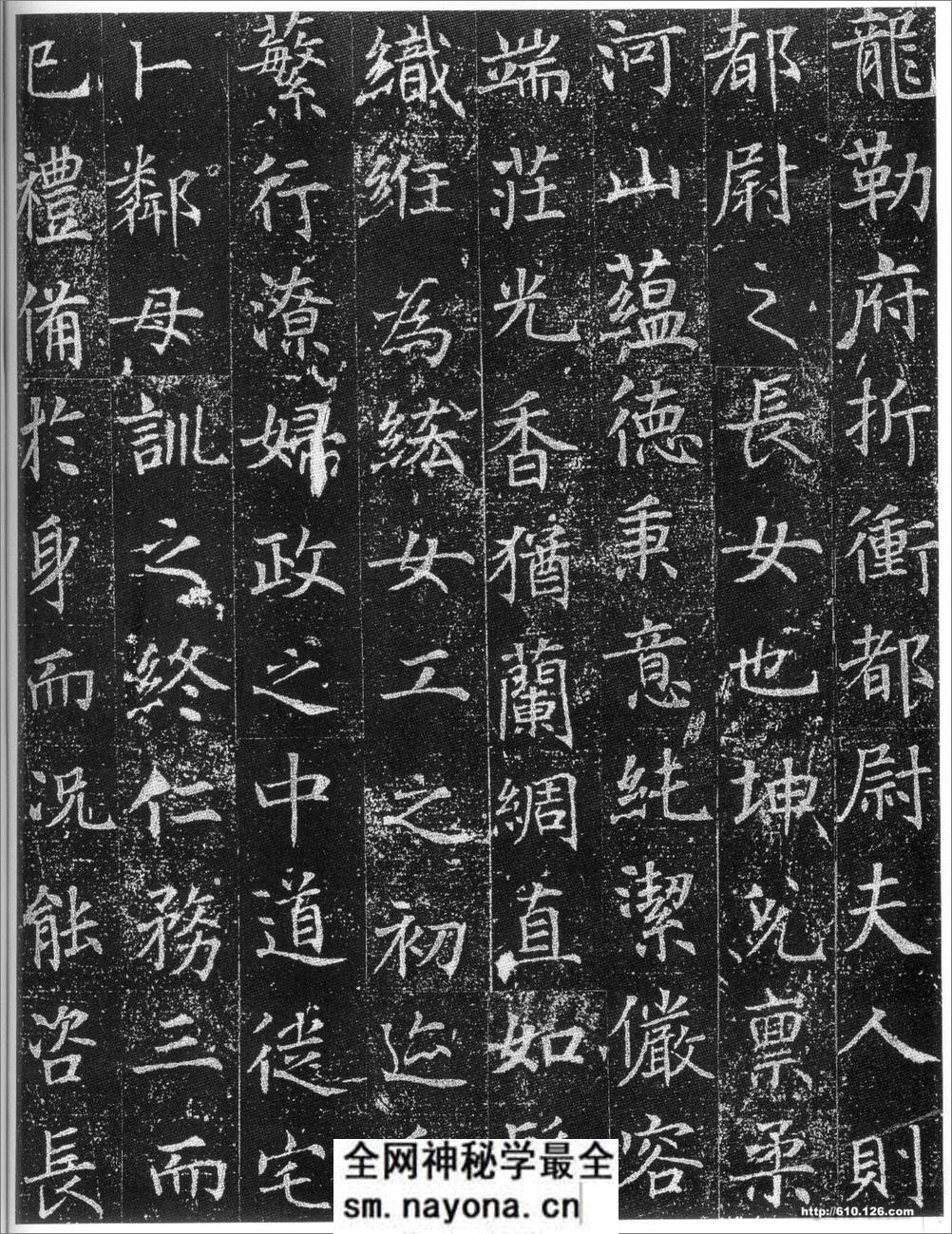 (唐)徐浩楷书陈尚仙墓志铭 - 第3页预览图