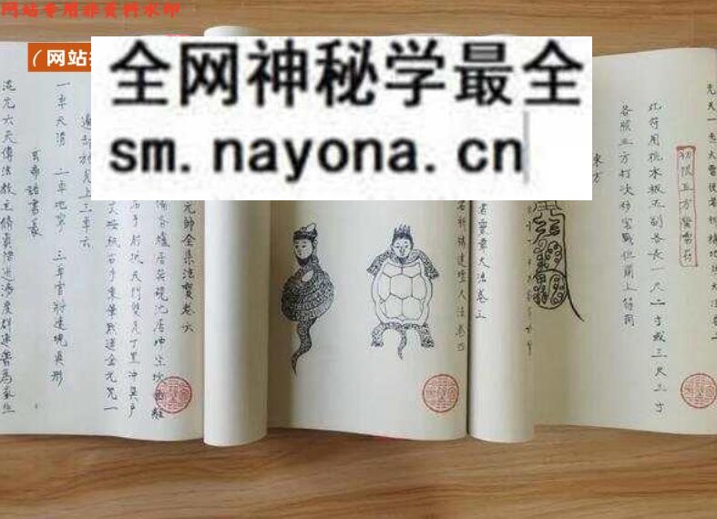 《 洞神刘天君神霄雷法集》