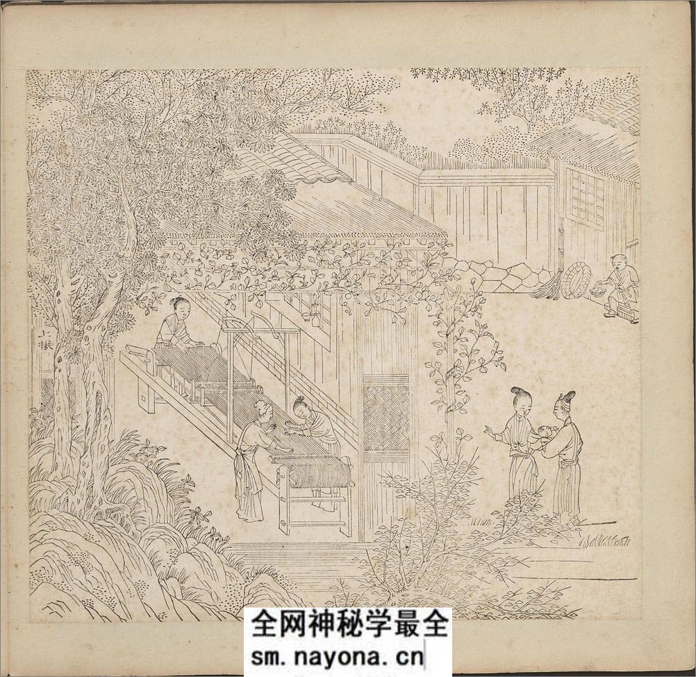 御制棉花图.清.方观承画.乾隆题诗.清代文石刻拓.图木刻印本 - 第19页预览图