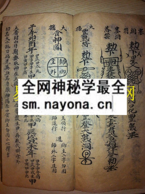 1742454923391973.jpg 大幡封山科 (电子版)
