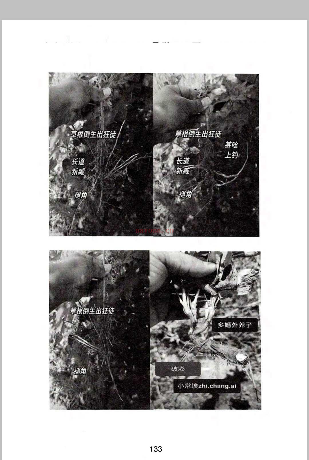 《燕门混元地理》