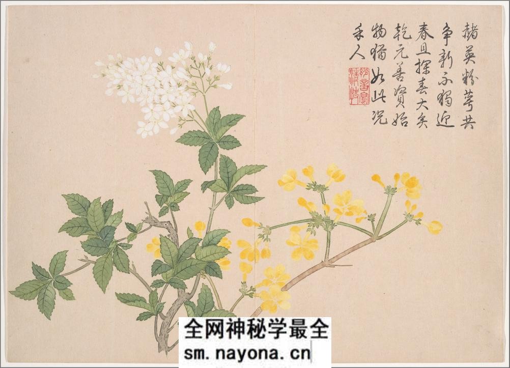景敷四气.冬景图.12帧.清钱维城画.清乾隆时期.大都会博物馆藏本 - 第11页预览图