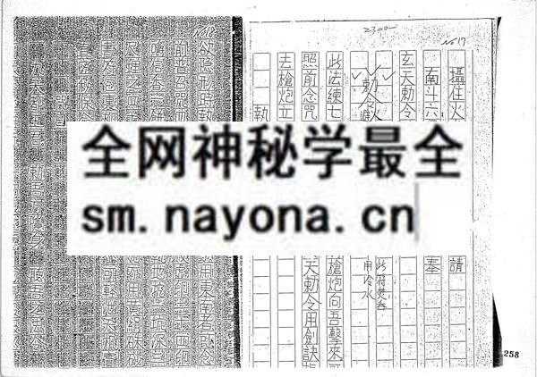 乐善坛做法符书 （只售电子版）