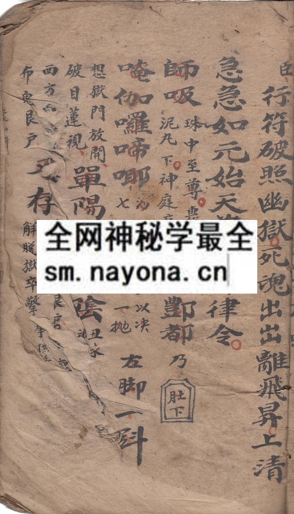 蒙山科  （电子版）