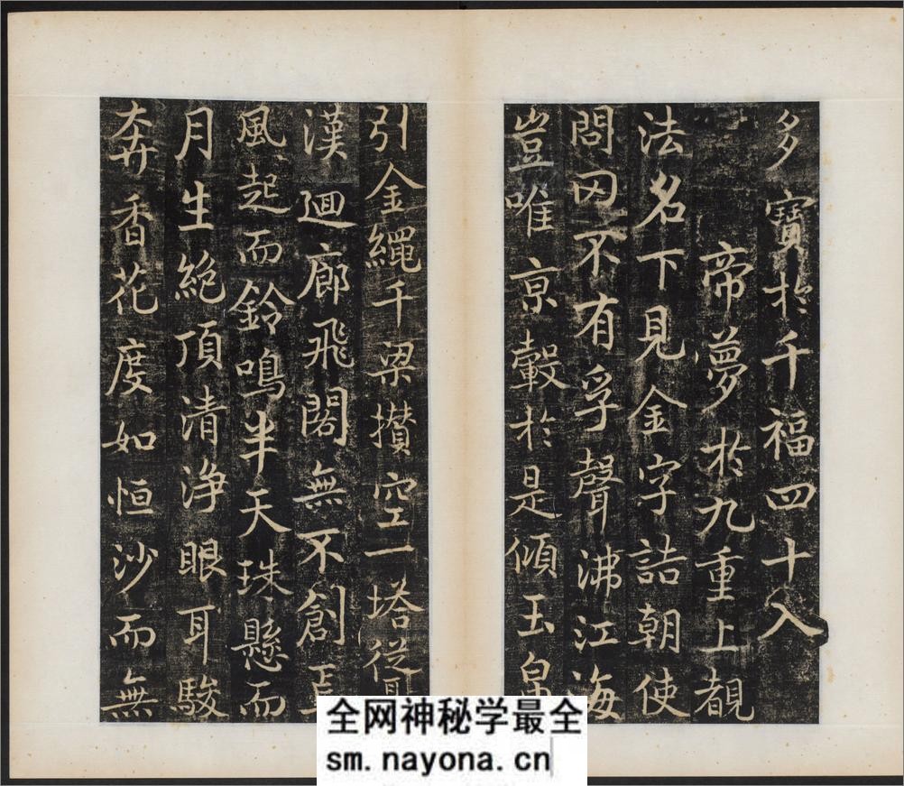 唐国师千福寺多宝塔院故法华楚金禅师碑.唐释飞锡撰.唐吴通书.民国拓本 - 第5页预览图