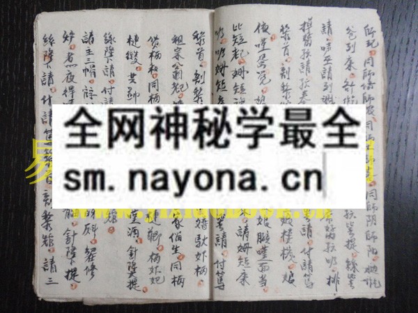 1747821922424860.jpg 桂西魔公教巫术 (原书)