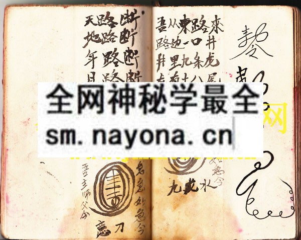 传世真言法本 （原书）