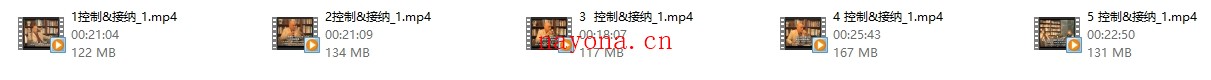 斯蒂文 海斯 ACT《控制&接纳》视频5集【完结】