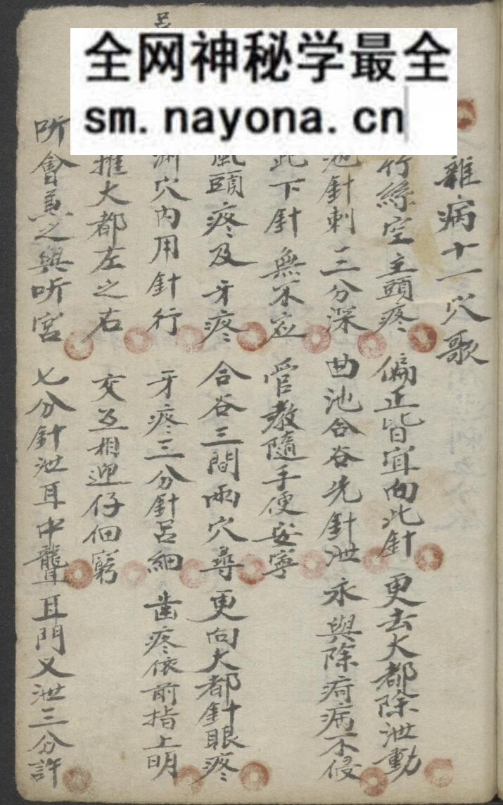 针灸科