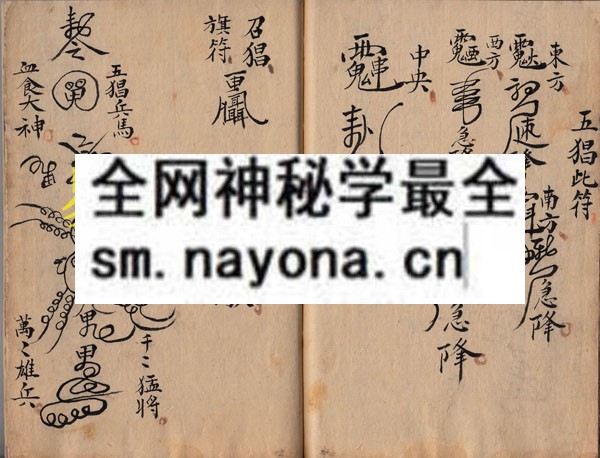 1742296080749141.jpg 安五猖玄科 (原书)