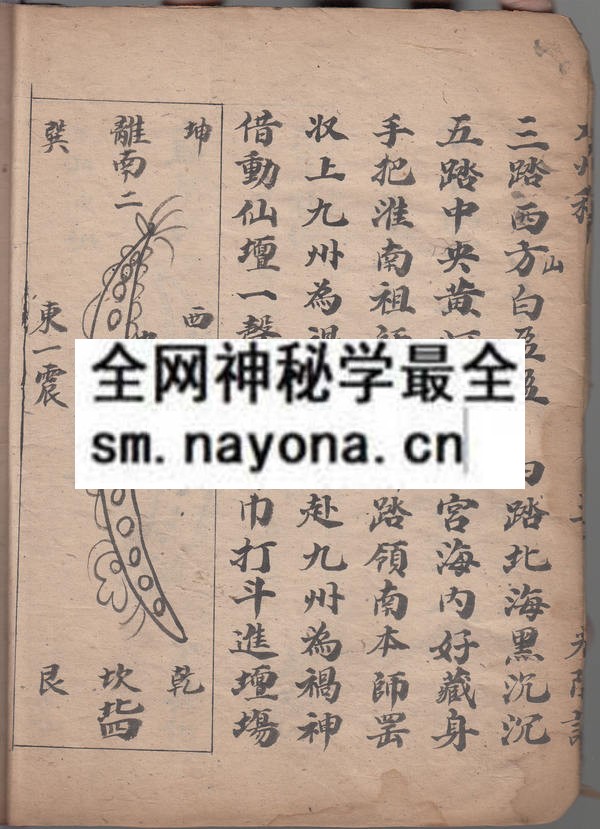 1750509897484230.jpg 九州罡斗科 (原书)