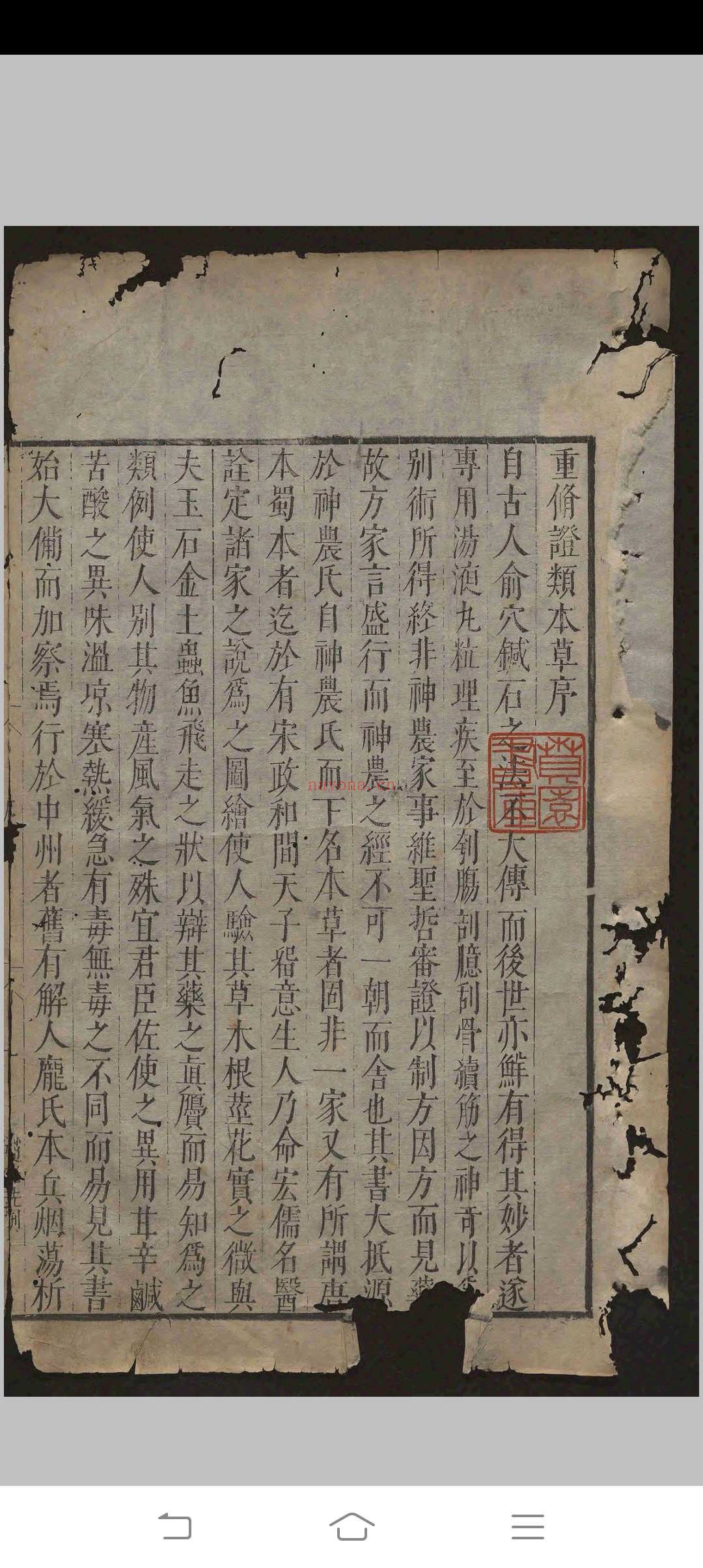 重修政和经史证类备用本草.三十卷.唐慎微.明天启间