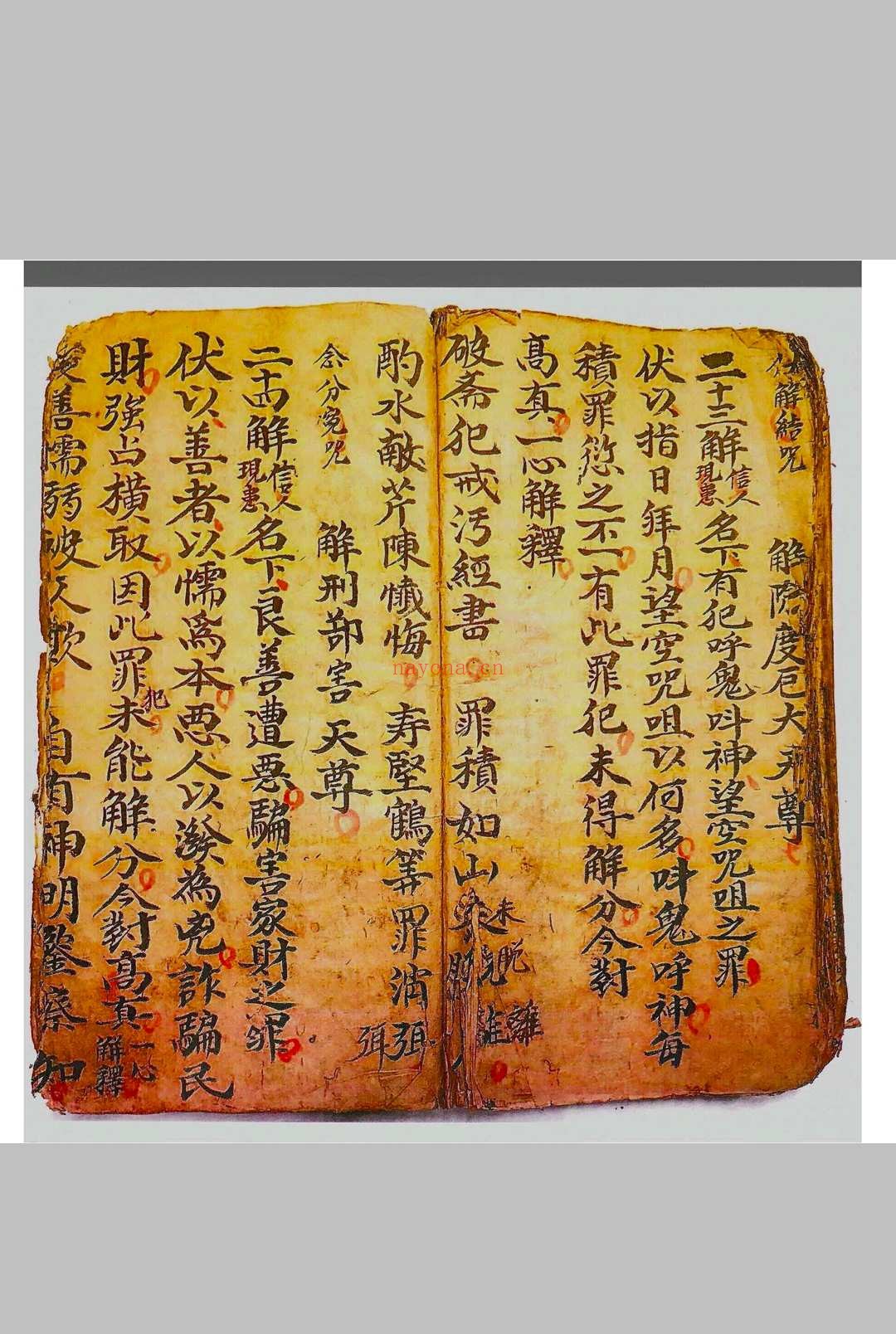 正一驱治攘灾解释金科