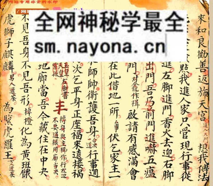 《进瘟难家传口诀符法》
