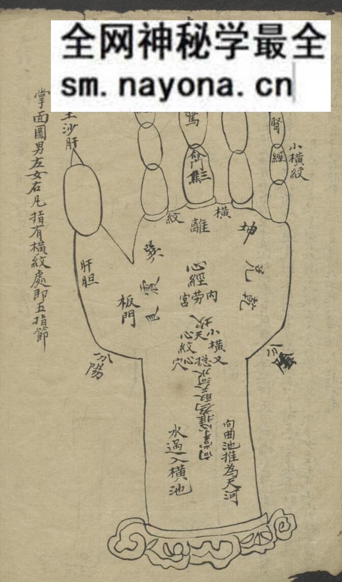 《小儿推拿》