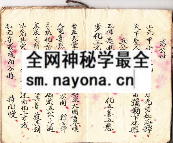 1742725888478738.jpg 大圣五公菩萨演说转天图救劫真经 (电子版)