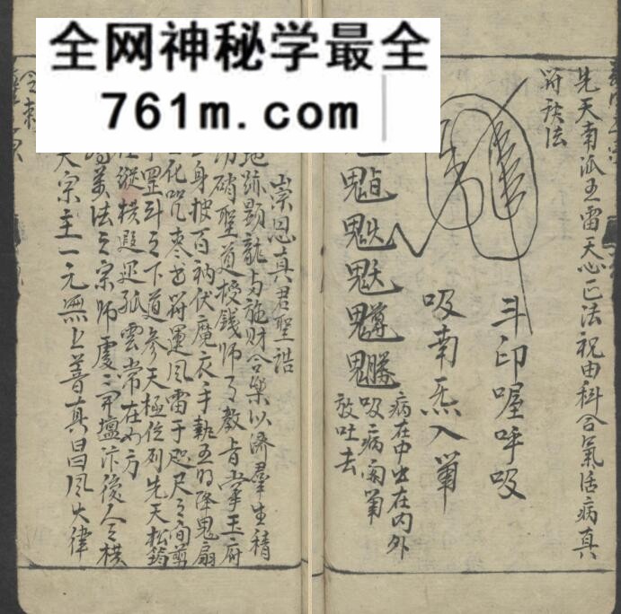 《万法归宗》百度网盘