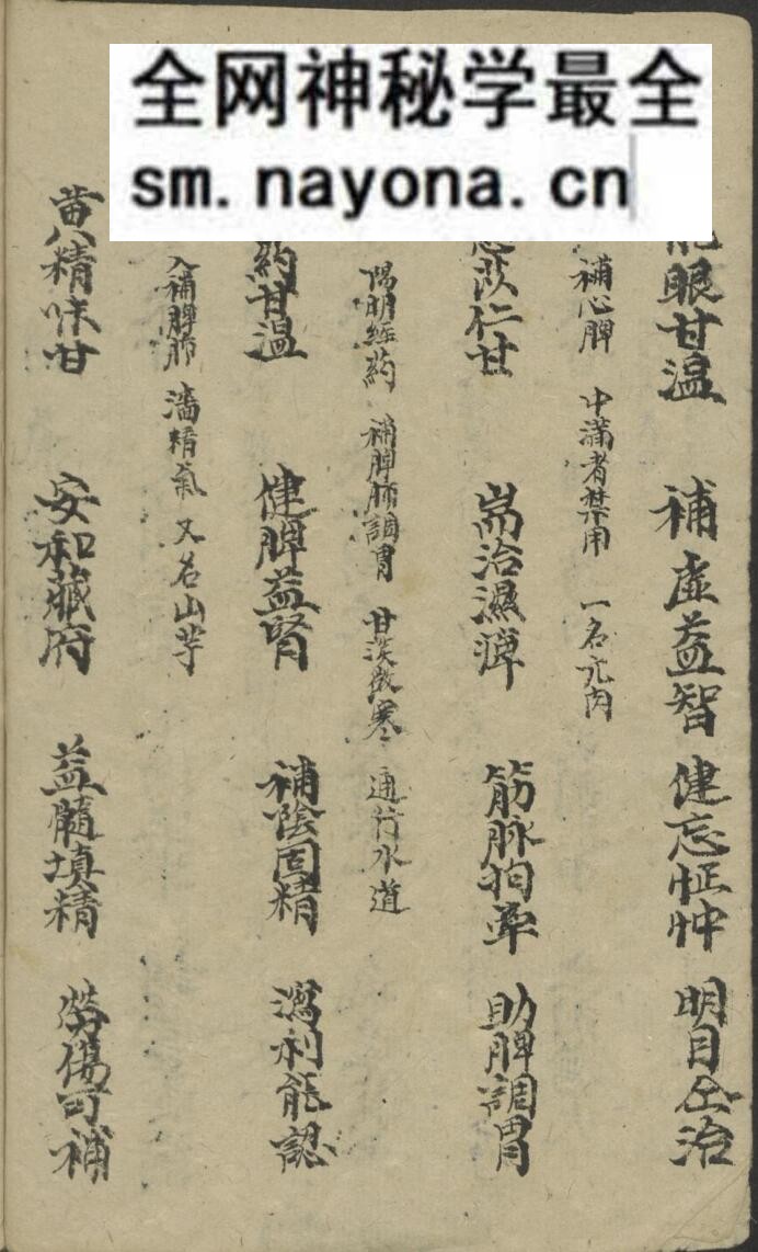 四言药性