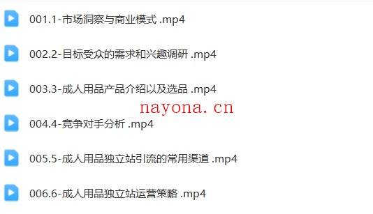 成人用品独立站项目,新手小自优选入门课【Aa-0047】