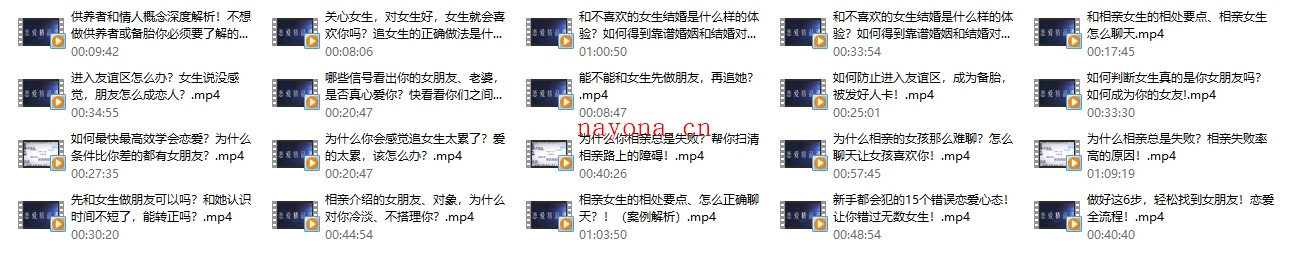 婚恋攻略(男人最大的成功,就是拥有令人羡慕的婚姻)
