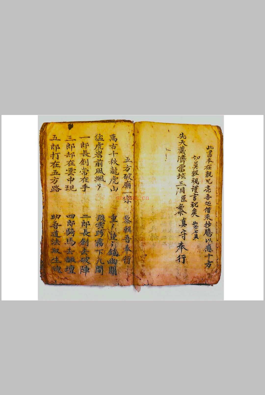 正一驱治攘灾解释金科