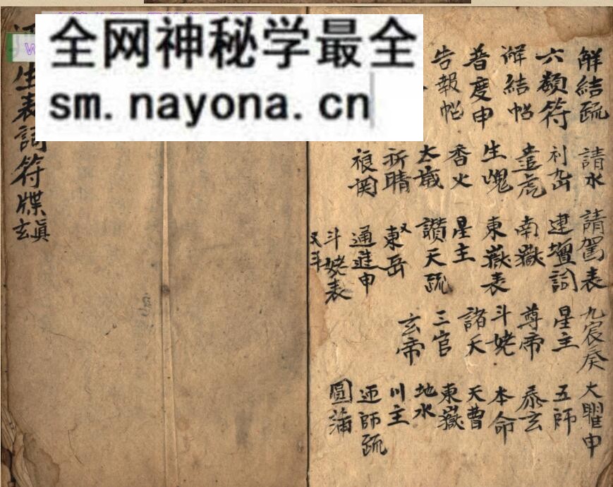 《延生行移》百度网盘下载