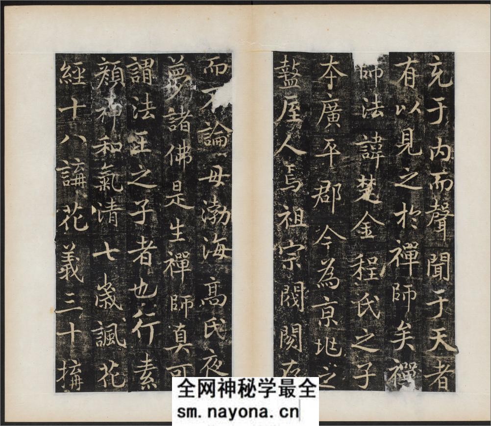 唐国师千福寺多宝塔院故法华楚金禅师碑.唐释飞锡撰.唐吴通书.民国拓本 - 第4页预览图
