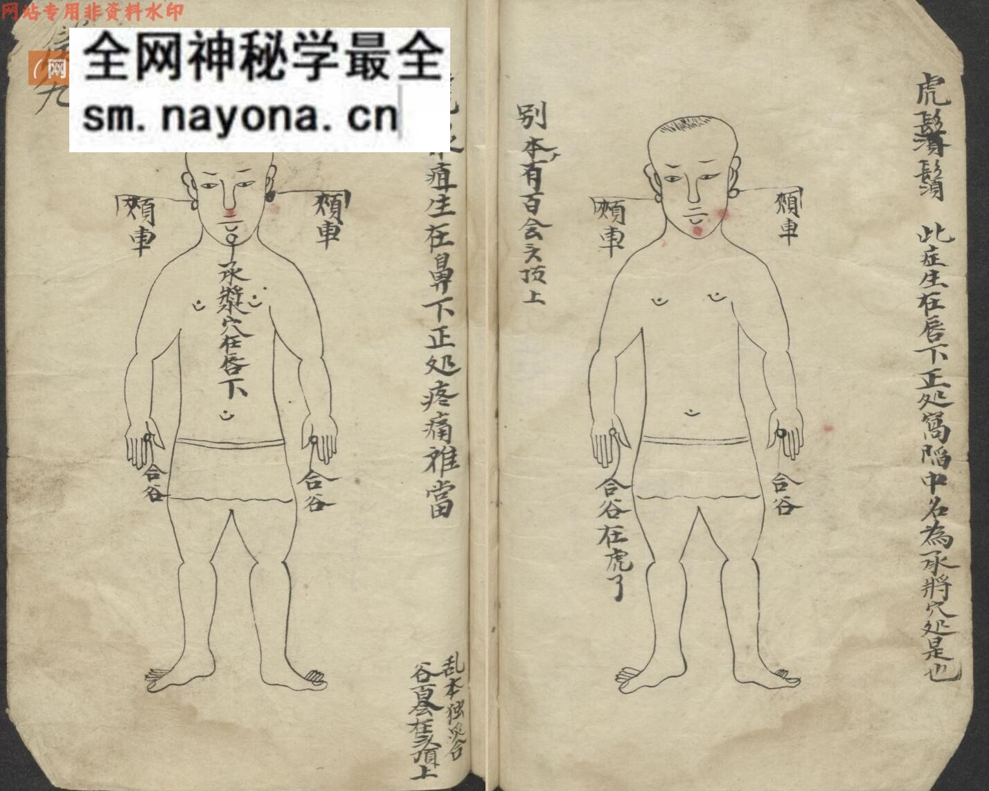 中医古籍《百症图说》
