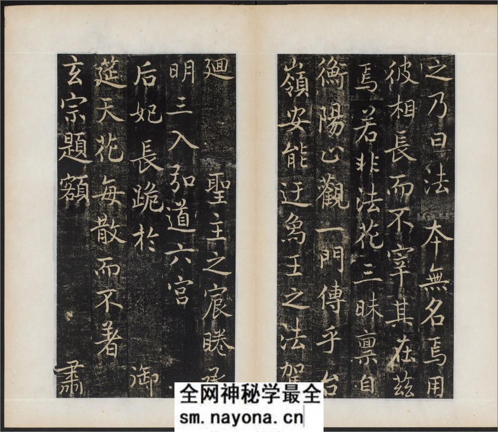 唐国师千福寺多宝塔院故法华楚金禅师碑.唐释飞锡撰.唐吴通书.民国拓本 - 第8页预览图