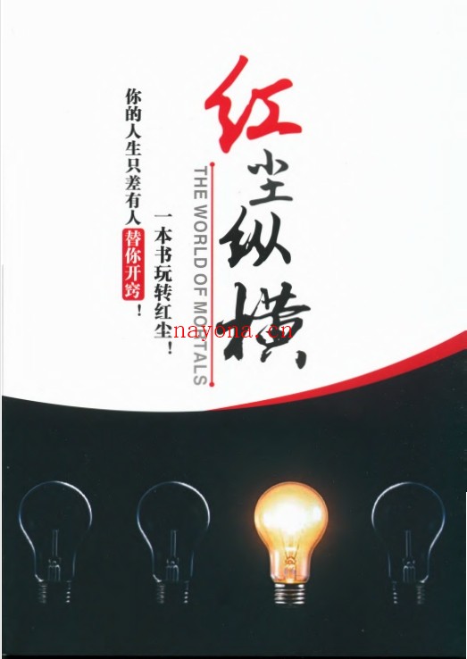红尘纵横PDF