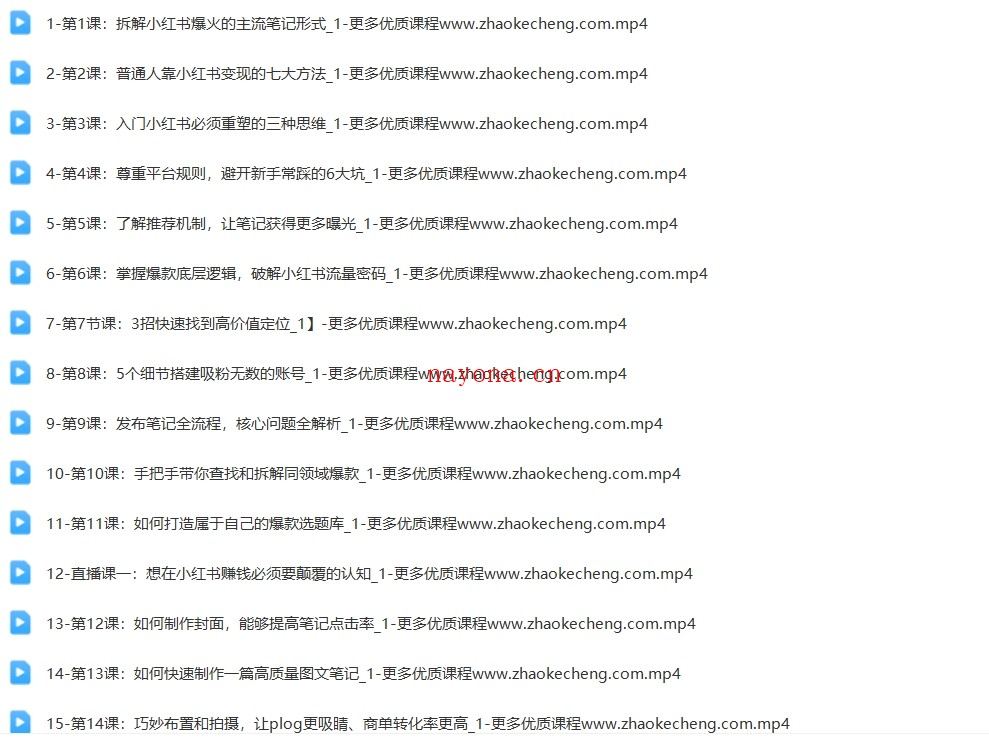 28天小红书突围训练营，从0到1快速涨粉变现【Bb-0026】