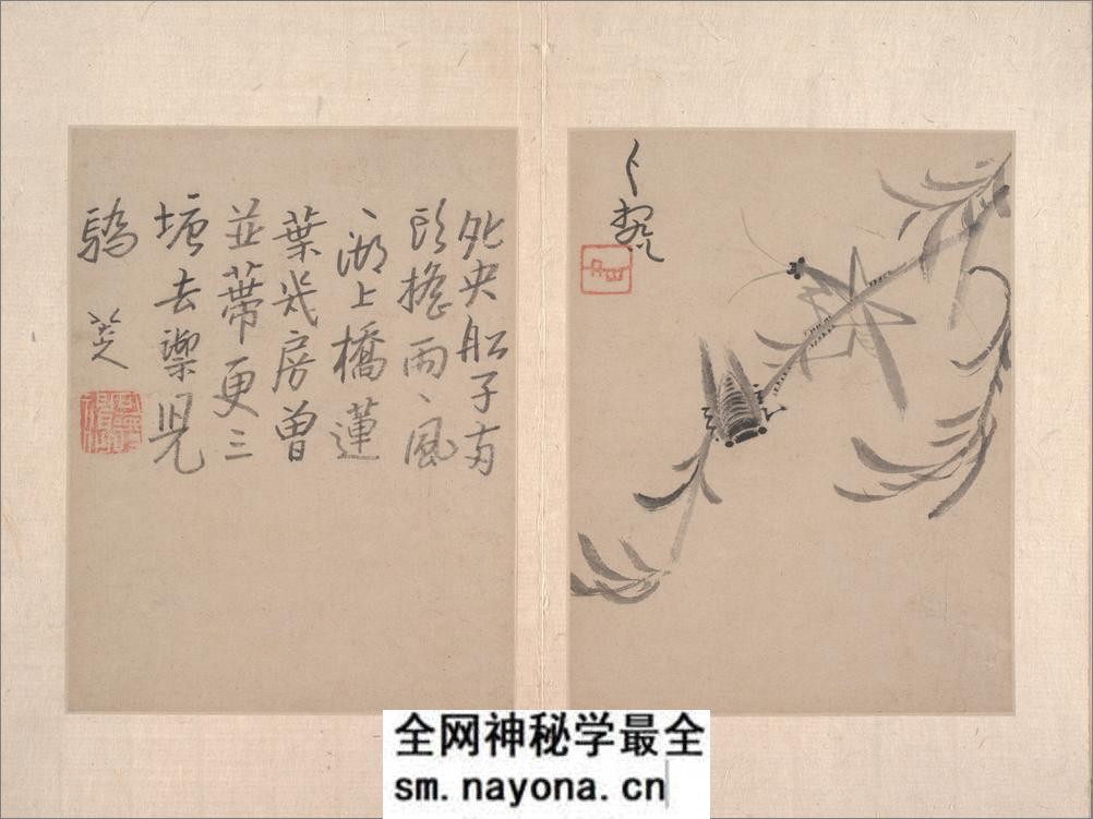 八大山人绘画册页.写意文人12帧.山水12帧.朱耷绘.清代 - 第4页预览图