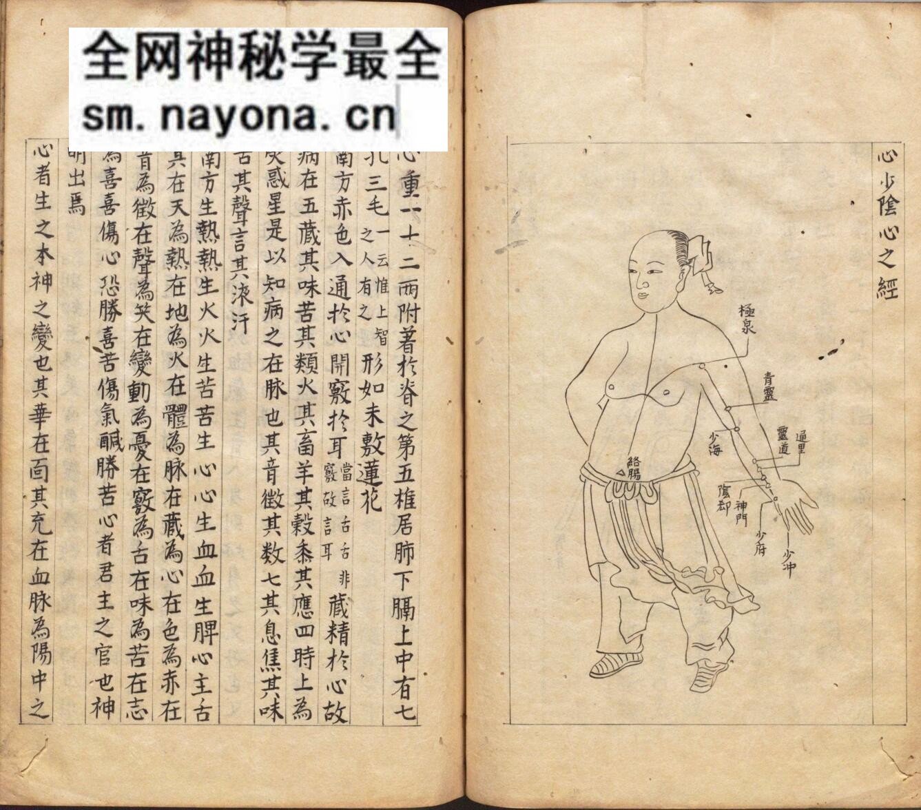 《针灸聚英》