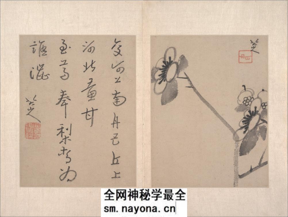 八大山人绘画册页.写意文人12帧.山水12帧.朱耷绘.清代 - 第11页预览图